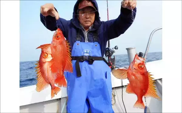 「「今が旬！」テンビン五目釣りで良型イサキが入れ食い【船のエサ釣り最新情報10選・福岡】」の画像