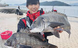 「磯チヌ釣り大会でマダイ2連発！【山口】本命チヌは規定数5匹キャッチに成功」の画像1