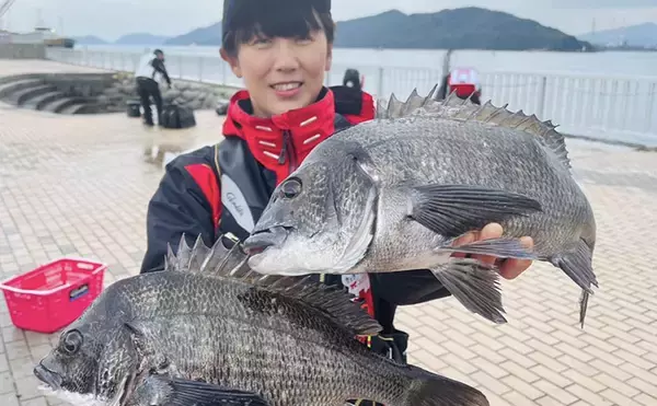 磯チヌ釣り大会でマダイ2連発！【山口】本命チヌは規定数5匹キャッチに成功