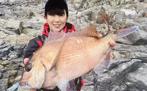 「磯チヌ釣り大会でマダイ2連発！【山口】本命チヌは規定数5匹キャッチに成功」の画像