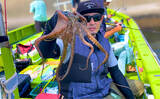 「東京湾で船中マダコ100杯超え！【横内丸】金沢八景沖をエギタコ釣りで探る」の画像14