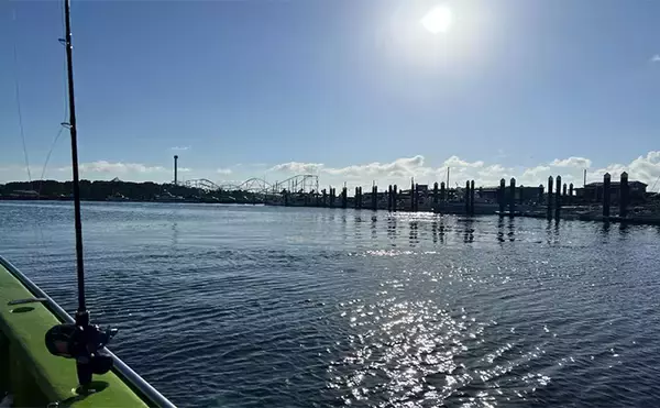 「東京湾で船中マダコ100杯超え！【横内丸】金沢八景沖をエギタコ釣りで探る」の画像