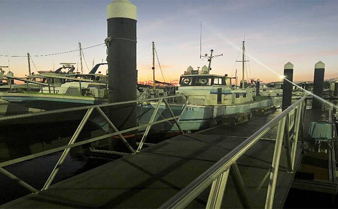 東京湾で船中マダコ100杯超え！【横内丸】金沢八景沖をエギタコ釣りで探る
