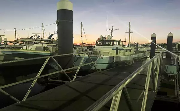 「東京湾で船中マダコ100杯超え！【横内丸】金沢八景沖をエギタコ釣りで探る」の画像