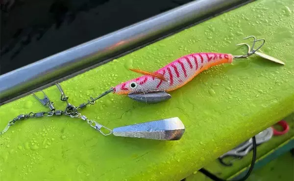 「東京湾で船中マダコ100杯超え！【横内丸】金沢八景沖をエギタコ釣りで探る」の画像