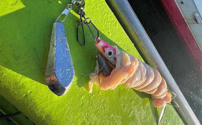 東京湾で船中マダコ100杯超え！【横内丸】金沢八景沖をエギタコ釣りで探る