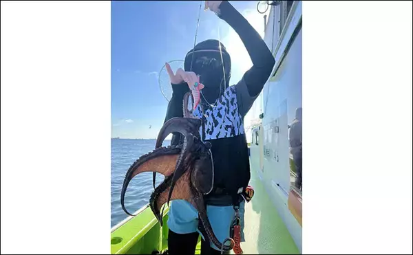 「東京湾で船中マダコ100杯超え！【横内丸】金沢八景沖をエギタコ釣りで探る」の画像