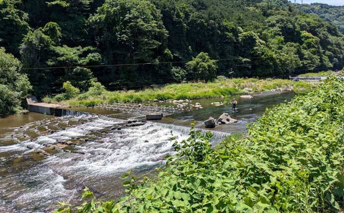 早川での渓流エサ釣りで53cmニジマスを手中！【神奈川】ブドウ虫エサにヒット