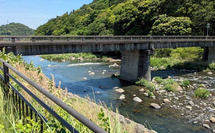 早川での渓流エサ釣りで53cmニジマスを手中！【神奈川】ブドウ虫エサにヒット