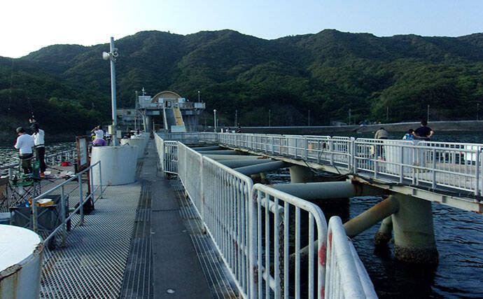大阪の人気海釣り公園「とっとパーク小島」でライフジャケット着用が義務化　レンタルはオススメできない？