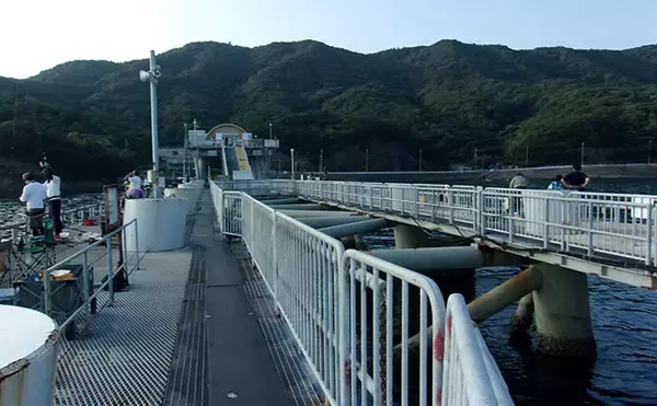 「大阪の人気海釣り公園「とっとパーク小島」でライフジャケット着用が義務化　レンタルはオススメできない？」の画像