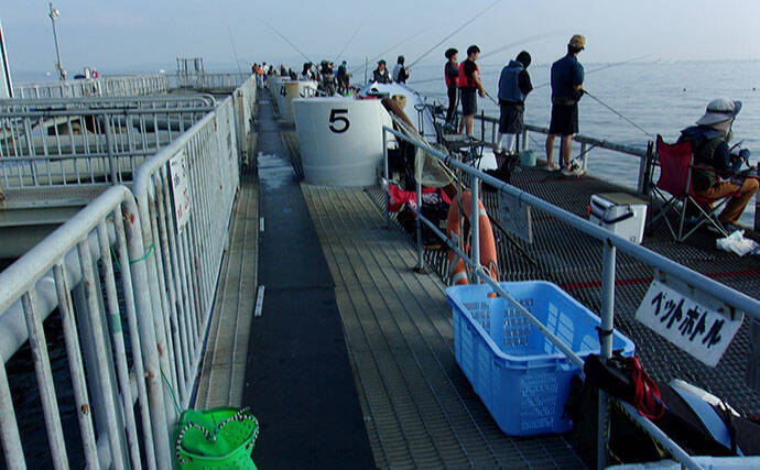 大阪の人気海釣り公園「とっとパーク小島」でライフジャケット着用が義務化　レンタルはオススメできない？