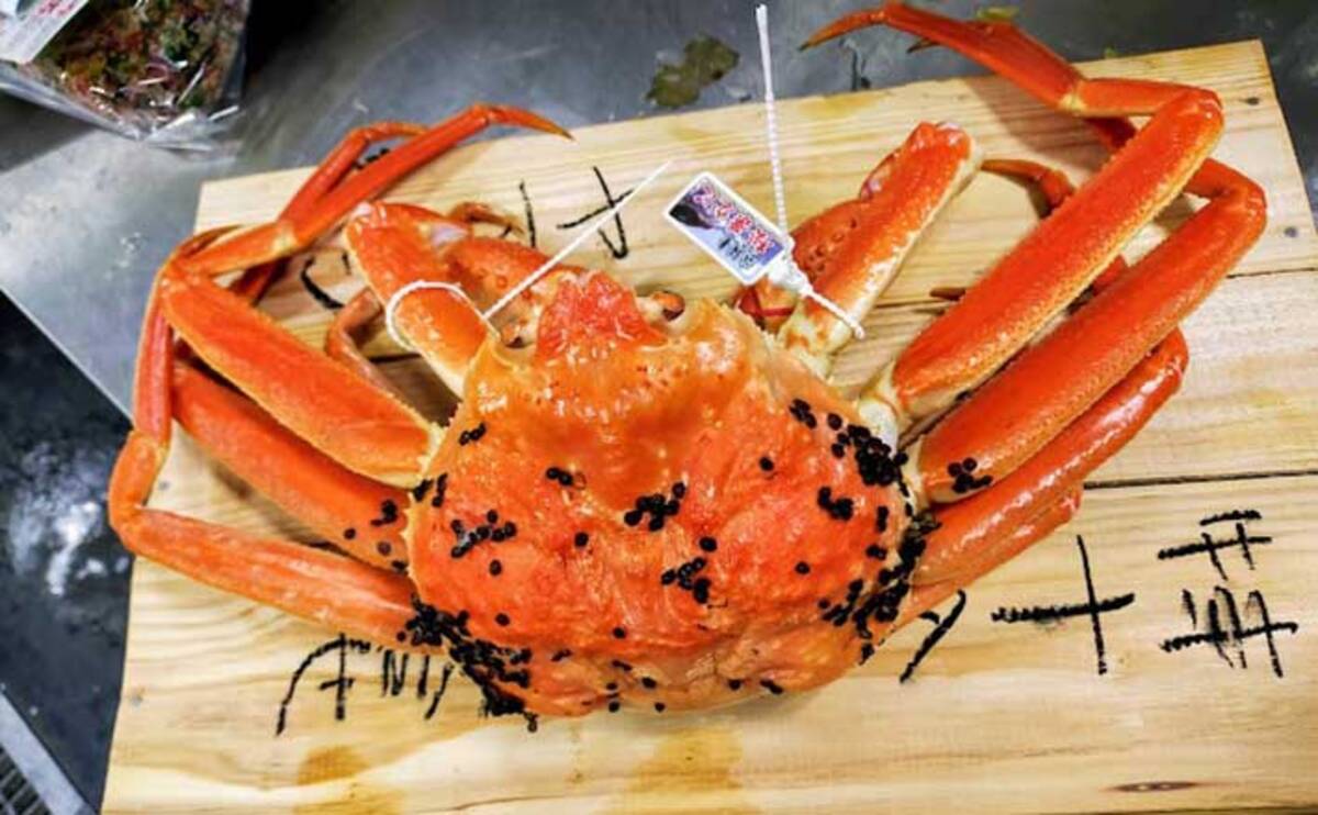 プロが教える ズワイガニ の目利き カニヒル卵付きが国産 は嘘 22年1月22日 エキサイトニュース 2 3
