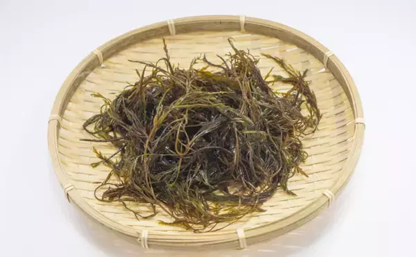 「環境にも人体にも優しい海藻「アカモク」を増やす試みが進行中」の画像