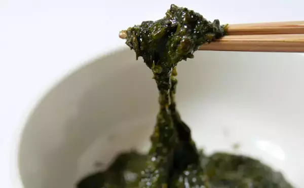 「環境にも人体にも優しい海藻「アカモク」を増やす試みが進行中」の画像