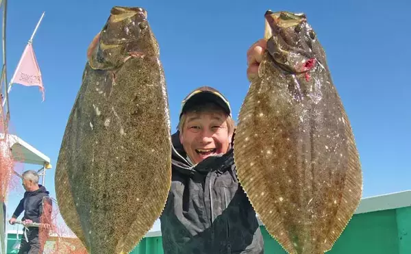 船でのイワシ泳がせ釣りでヒラメ8尾にマゴチ3尾と快釣【茨城・かもめ丸】