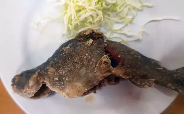 「テンカラ＆フライ釣行でニジマスにヤマメ手中で子供笑顔【リヴァスポット早戸】」の画像