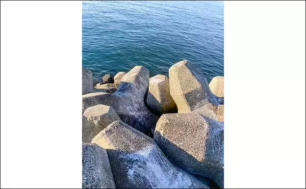 「産卵期接岸のカサゴを狙った穴釣りで怪物級24cm含む良型7匹手中【三重・箕田テトラ帯】」の画像