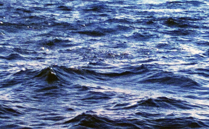 静岡沖の乗っ込みマダイをタイラバで攻略！【ロッド・リール・ライン・タイラバの選び方を解説】