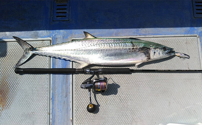 静岡沖の乗っ込みマダイをタイラバで攻略！【ロッド・リール・ライン・タイラバの選び方を解説】