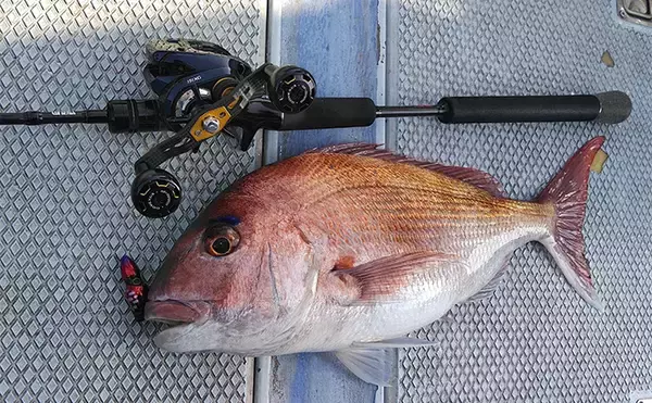 「静岡沖の乗っ込みマダイをタイラバで攻略！【ロッド・リール・ライン・タイラバの選び方を解説】」の画像