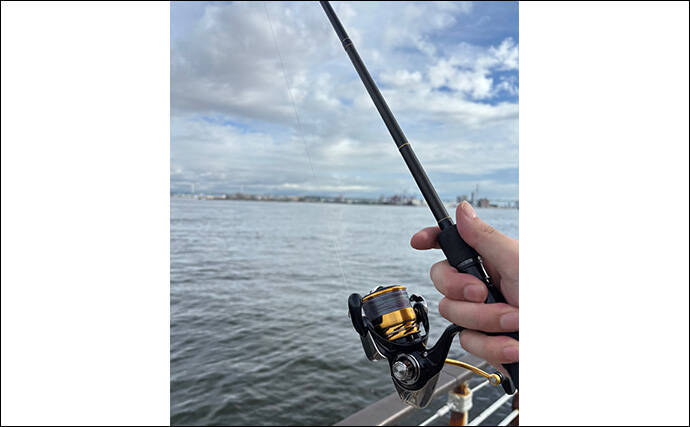 ライトショアジギング（LSJ）に適したロッドとリールの条件　エギングタックル流用はアリ