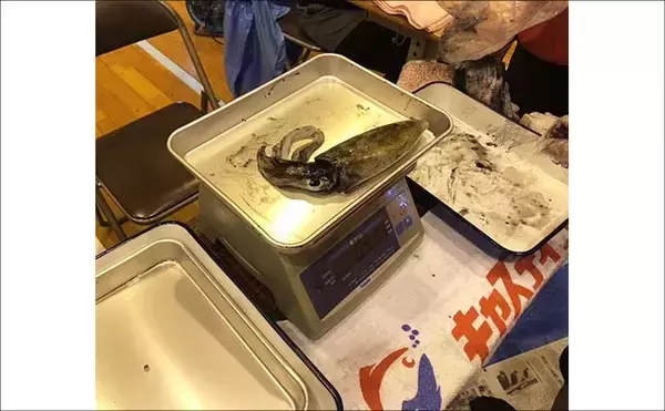 「【中学生が企画した釣り大会】に参加　離島が抱える社会課題の解決にも期待集まる」の画像