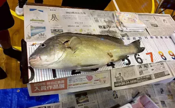 「【中学生が企画した釣り大会】に参加　離島が抱える社会課題の解決にも期待集まる」の画像