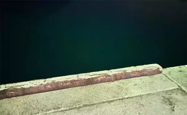 「「秋だけどまだ釣れる！」上天草でのルアーフィッシングで有明ターポン連発【熊本】」の画像