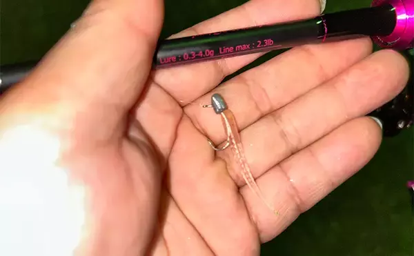 「「秋だけどまだ釣れる！」上天草でのルアーフィッシングで有明ターポン連発【熊本】」の画像