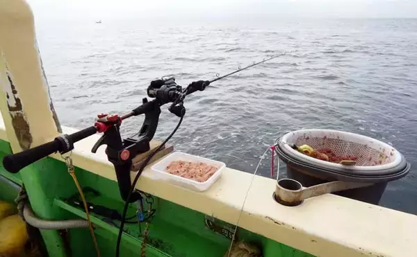 「船の青物五目釣りの基本と攻略法　落とし込みサビキ＆天ビン仕掛けの実践テクを徹底解説」の画像