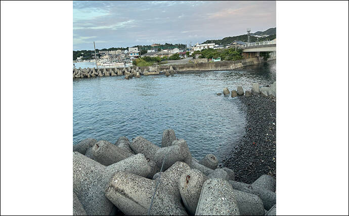 アジとメバルの「プランクトンパターン」を理解しよう　発生の条件とは？