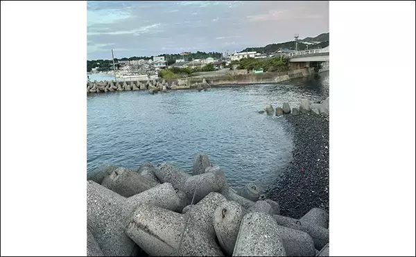 「アジとメバルの「プランクトンパターン」を理解しよう　発生の条件とは？」の画像