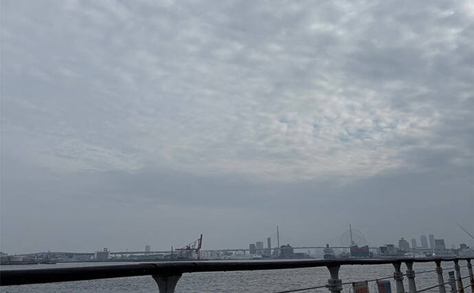 アジとメバルの「プランクトンパターン」を理解しよう　発生の条件とは？