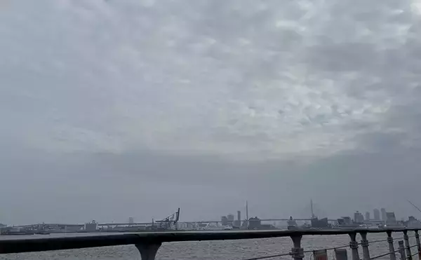 「アジとメバルの「プランクトンパターン」を理解しよう　発生の条件とは？」の画像