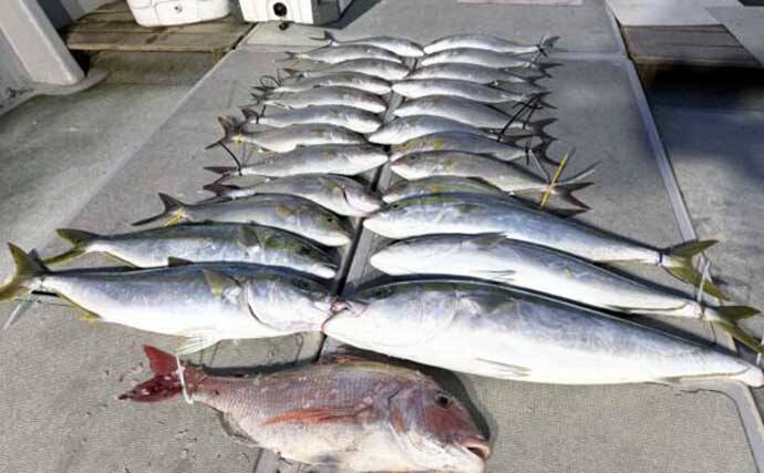 【沖のルアー釣果速報】玄界灘ヒラマサキャスティング好況！10kg超頭に良型続出（福岡）