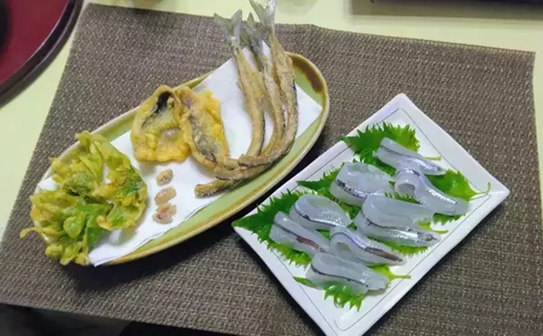 「鹿島港サヨリ釣りで本命4匹と苦戦【茨城】まきエサワークとアワセが重要か」の画像