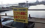 「鹿島港サヨリ釣りで本命4匹と苦戦【茨城】まきエサワークとアワセが重要か」の画像3