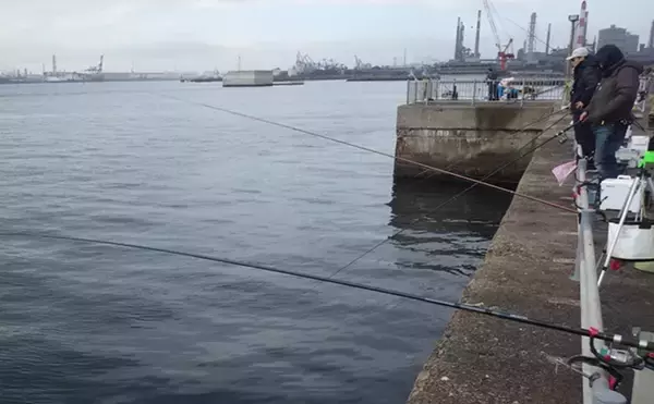 「鹿島港サヨリ釣りで本命4匹と苦戦【茨城】まきエサワークとアワセが重要か」の画像
