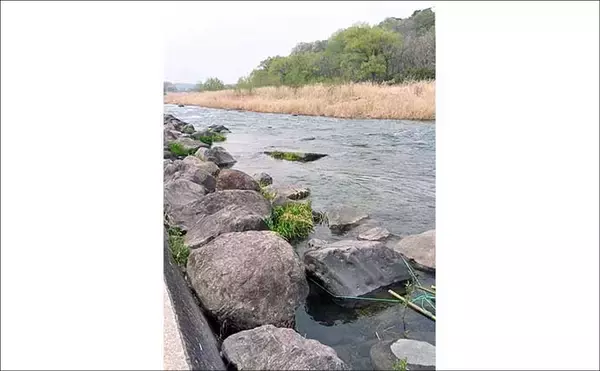 「「腕試しや技術の向上に最適！」 渓流釣りイチオシ河川：那珂川」の画像