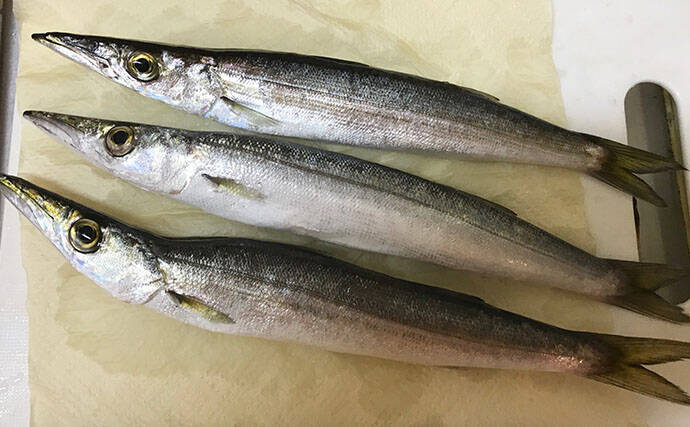 キャッチ＆リリース派アングラーは魚の調理が苦手？　経験とよく切れる包丁が必要か