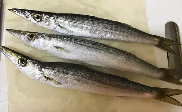 「キャッチ＆リリース派アングラーは魚の調理が苦手？　経験とよく切れる包丁が必要か」の画像