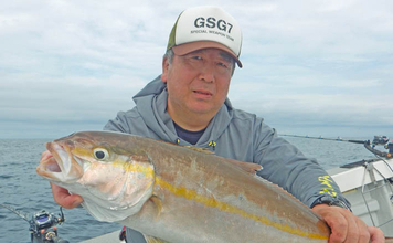 宗像沖の落とし込み釣りで良型ラッシュ！【福岡】ハマチ3kg・アコウ1.5kg・カンパチ2.5kg登場