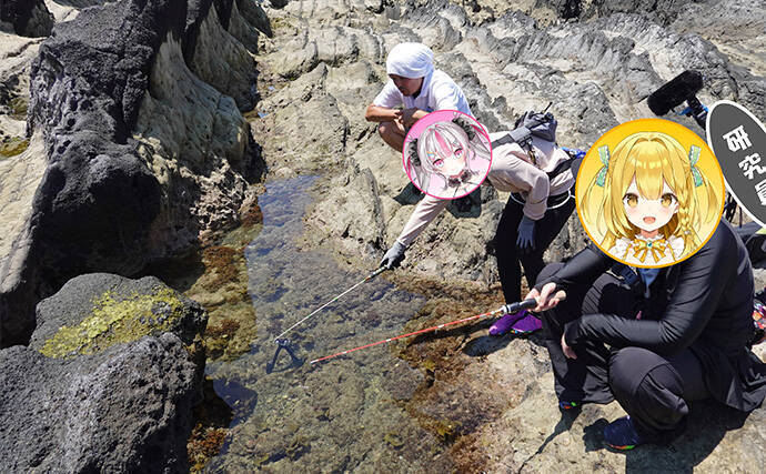 VTuber『うおむすめ』が磯採集に挑戦！ タイドプールの見釣りで小魚連発に大喜び