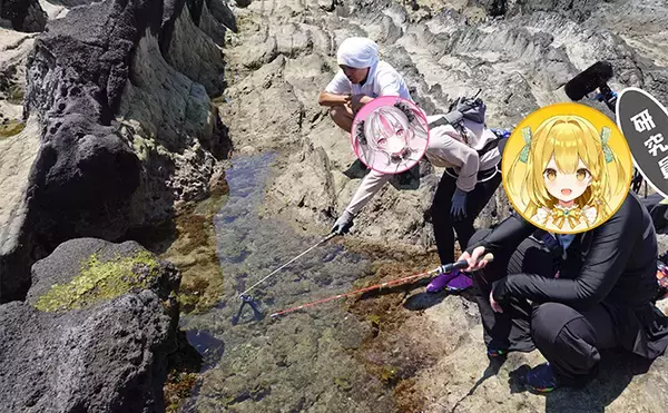 「VTuber『うおむすめ』が磯採集に挑戦！ タイドプールの見釣りで小魚連発に大喜び」の画像