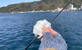 「釣り大好き女子が教える【初心者がうっかり忘れがちな＆あると便利な釣行アイテム】」の画像5