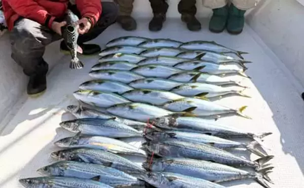 「【沖のルアー釣果速報】親子で青物チャレンジ成功！ジギング船でハマチが入れ食い（愛知）」の画像