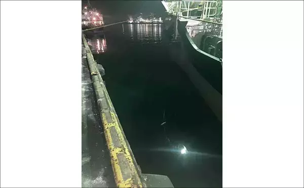 「「低活性時はワームが正解！」四日市港のライトゲームでセイゴ＆カサゴを攻略【三重】」の画像