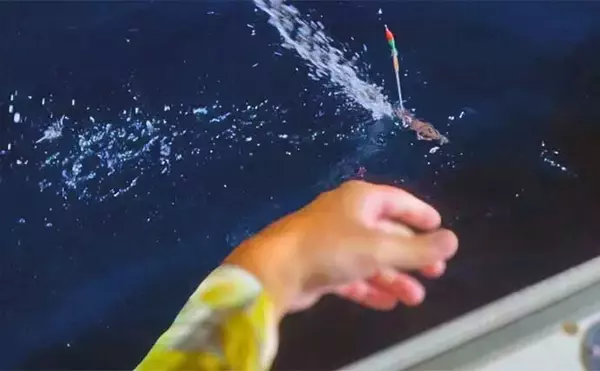 「【これでも渋い？】イカメタル釣行で大型交じりにアカイカが連発（金沢・双雄丸）」の画像