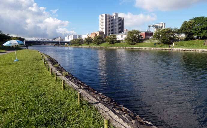 「旧中川でハゼ釣り！」子どもたちの笑顔あふれる親子釣り教室に密着【東京】